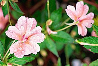 《Bloomtown: A Different Story》明年第二季度发售 支持简中